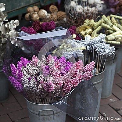 bucket with gilded cinnamon and cones for sale on the flower market. Stock Photo