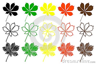 Buckeye leaf color set Vector Illustration