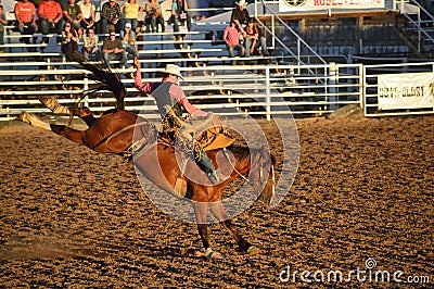 Bucking Horse Rider Editorial Stock Photo