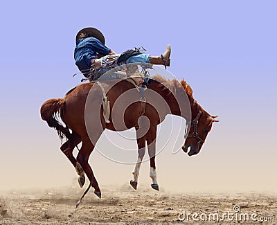 Bucking Rodeo Horse Stock Photo