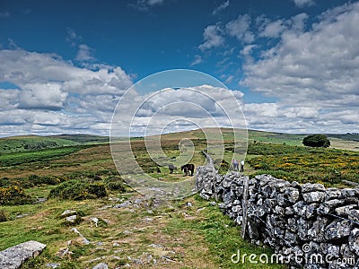 Dartmoor National Park Buckland Beacon Devon Stock Photo