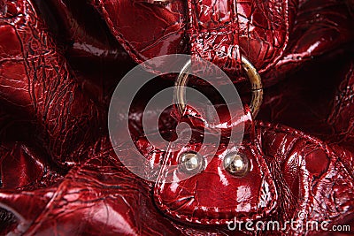 Buckle of a women bag background Stock Photo