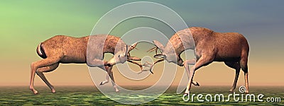 Bucks fighting - 3D render Stock Photo