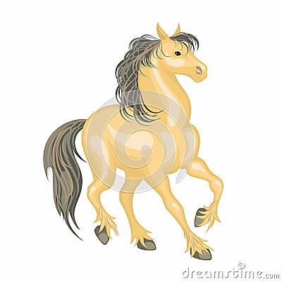 The buckskin horse Vector Illustration