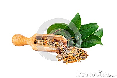 Buckthorn Bark or Alder Buckthorn Dried Loose Herbal Tea On White Stock Photo