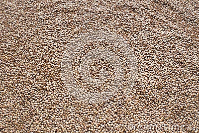 Buckwheat brown background Stock Photo