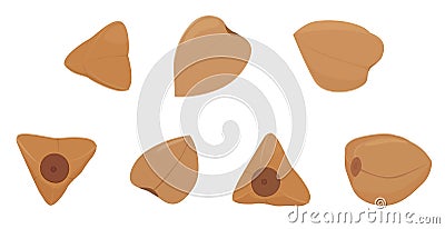Buckwheat groats grain set isolated on white Vector Illustration