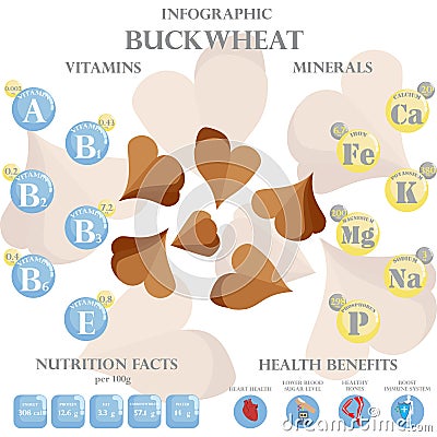 Buckwheat nutrition facts and health benefits infographic Vector Illustration