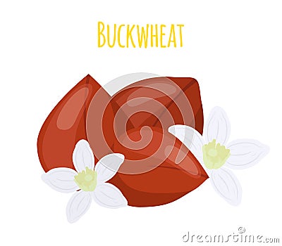 Buckwheat seeds, cereal grains, vegetarian food.Flat style. Vector illustration Vector Illustration