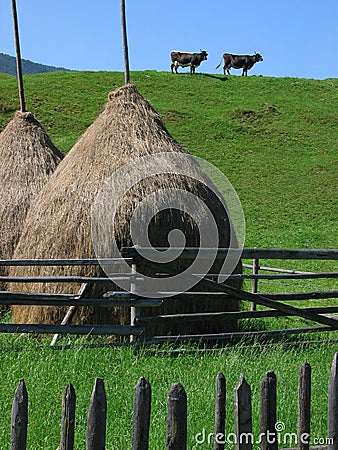 Bucovina symmetric landscape Stock Photo