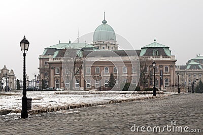 Buda Castle in Budapest Editorial Stock Photo