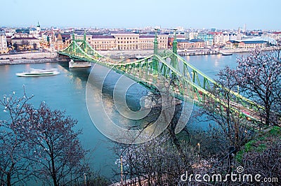 Budapest Freedom Bridge over Danube river cherry flowers boat sh Stock Photo