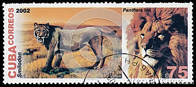 Stamp printed in CUBA shows image of lion Editorial Stock Photo