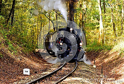 vintage black steam engine and kids miniature train riding through green forest. leisure, fun and outdoors concept Editorial Stock Photo