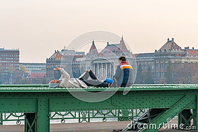 Budapest, Hungary - 10.11.2018: People on the green Liberty Bridge in Budapest Editorial Stock Photo