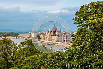 Budapest parliament building with green foliage Stock Photo