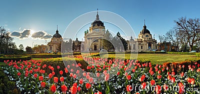 Budapest - spring panorama with flower, Szechenyi Spa, Hungary Stock Photo