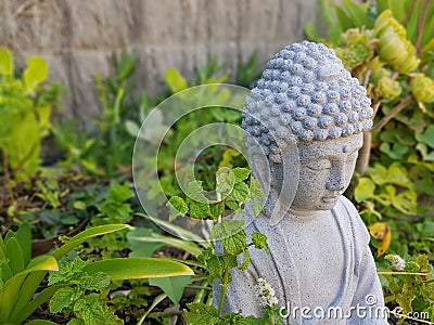 Budda Stock Photo