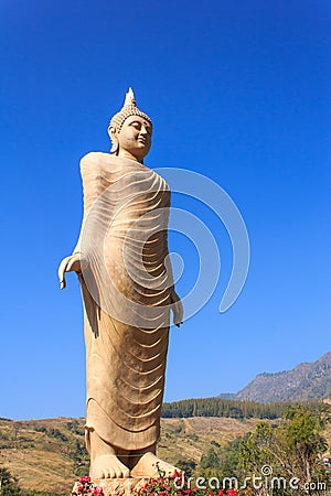 Buddha Stock Photo