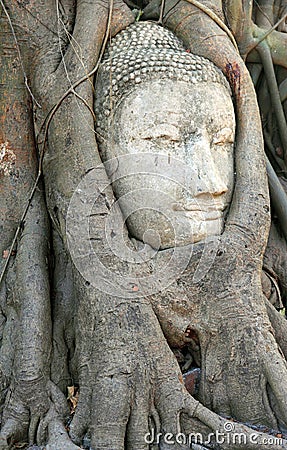 Buddha Face Statue Stock Photo