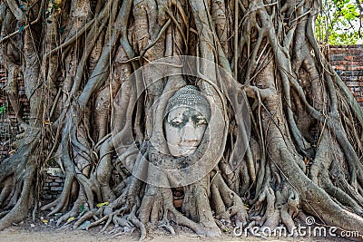 Buddha Head banyan tree Wat Mahathat Ayutthaya bangkok thailand Stock Photo