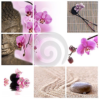 Buddha and pink phalaenopsis orchid Stock Photo