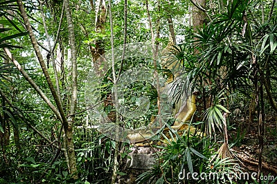 Buddha statue in forest, deep meditation in jungle, peace and nature Stock Photo