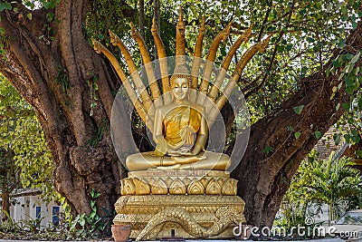 Buddha statue, Laos Editorial Stock Photo