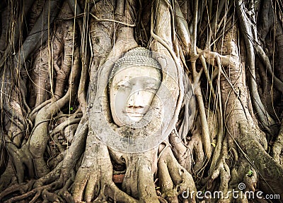Buddha statue in the roots of tree Stock Photo