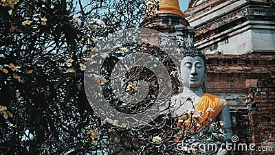 Buddha Status at Wat Yai Chaimongkol, Stock Photo
