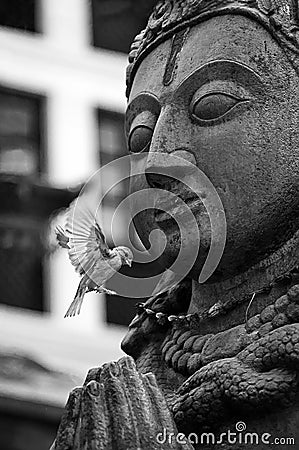 A buddha stone statue with flying bird Stock Photo