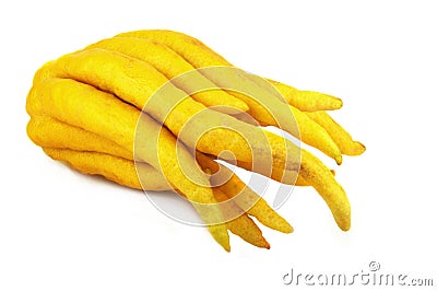 Buddhas Hand Lemon Stock Photo