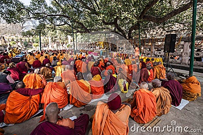 Buddhist Monks Sitting Under the Bodhi Tree, Bodhgaya, India Editorial Stock Photo