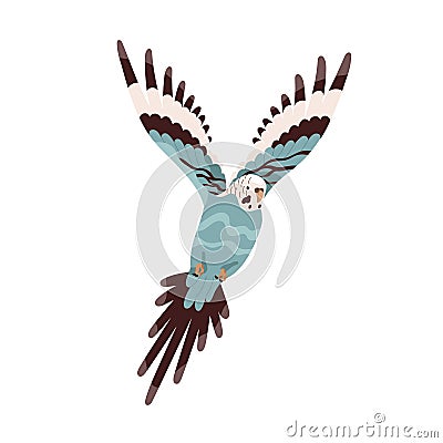 Budgerigar flying with spread wings. Budgie parrot with long tail. Tropical bird pet with tricolor feathers. Realistic Vector Illustration