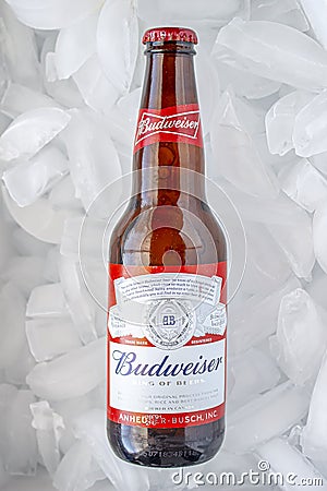 A Budweiser bottle Beer on ice Editorial Stock Photo