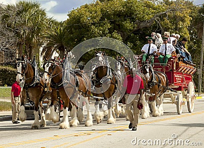 Budweiser Clydesdale Wagon Editorial Stock Photo
