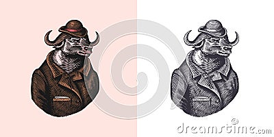 Buffalo Bull character in coat. Fashionable animal, vitorian gentleman. Hand drawn Engraved old monochrome sketch Vector Illustration