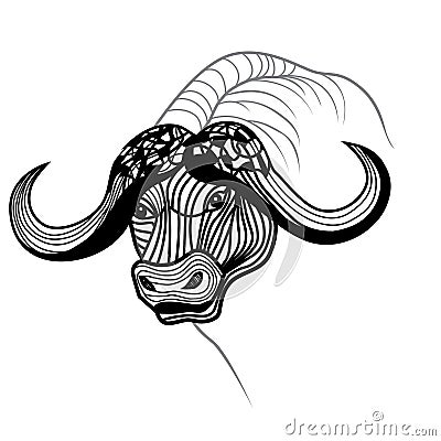 Buffalo bull head vector animal illustration for t-shirt. Vector Illustration