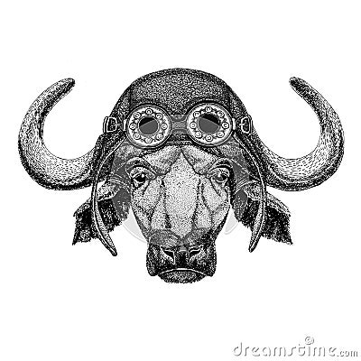 Buffalo, bull, ox wearing aviator hat Motorcycle hat with glasses for biker Illustration for motorcycle or aviator t Stock Photo