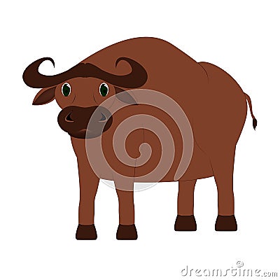 Buffalo bull Stock Photo