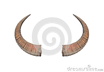Buffalo horns on white background texture Stock Photo