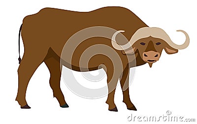 Buffalo icon. Vector illustration of African buffalo, standing, in flat style. Isolated on white. Isolated icon. Vector Illustration