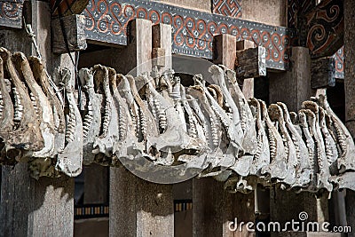 Buffalo jaws hanging at Tongkonan traditional houses in Tana Toraja Stock Photo