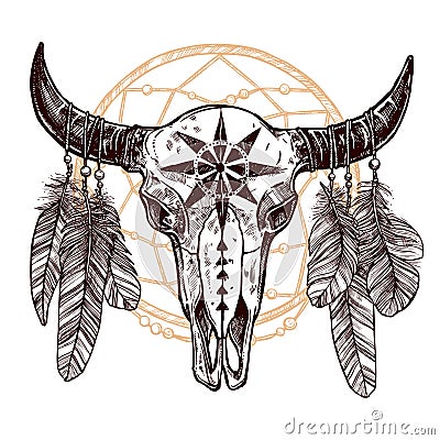 Buffalo Skull With Feathers And Dreamcatcher Vector Illustration