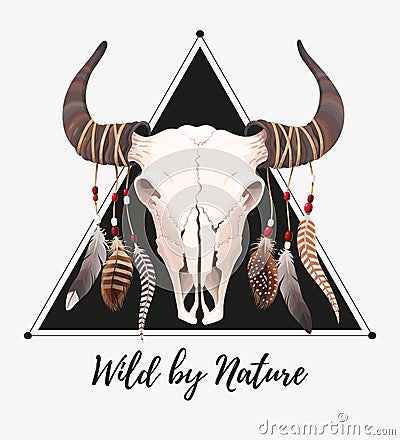 Buffalo skull with feathers Vector Illustration