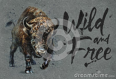 Buffalo watercolor painting with background, bison wild and free wildlife print for t-shirt Stock Photo