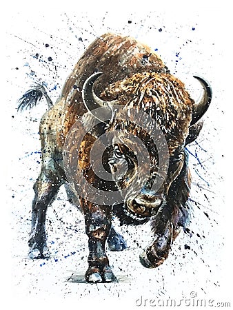 Buffalo watercolor wildlife painting, bison Stock Photo