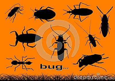 Bug Vector Illustration