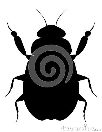 bug insects wildlife animals vector illustration Vector Illustration