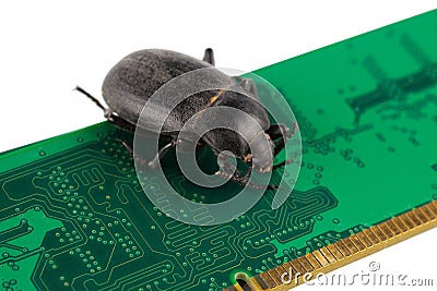 Bug on PC memory circuit board. Computer error concept Stock Photo